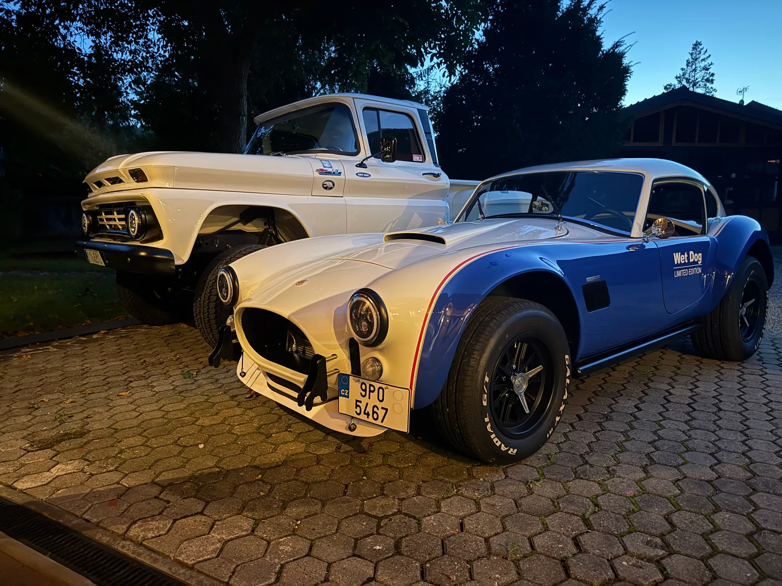 Shelby Cobra na cestách – foto 3